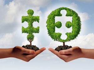 shutterstock_192791426