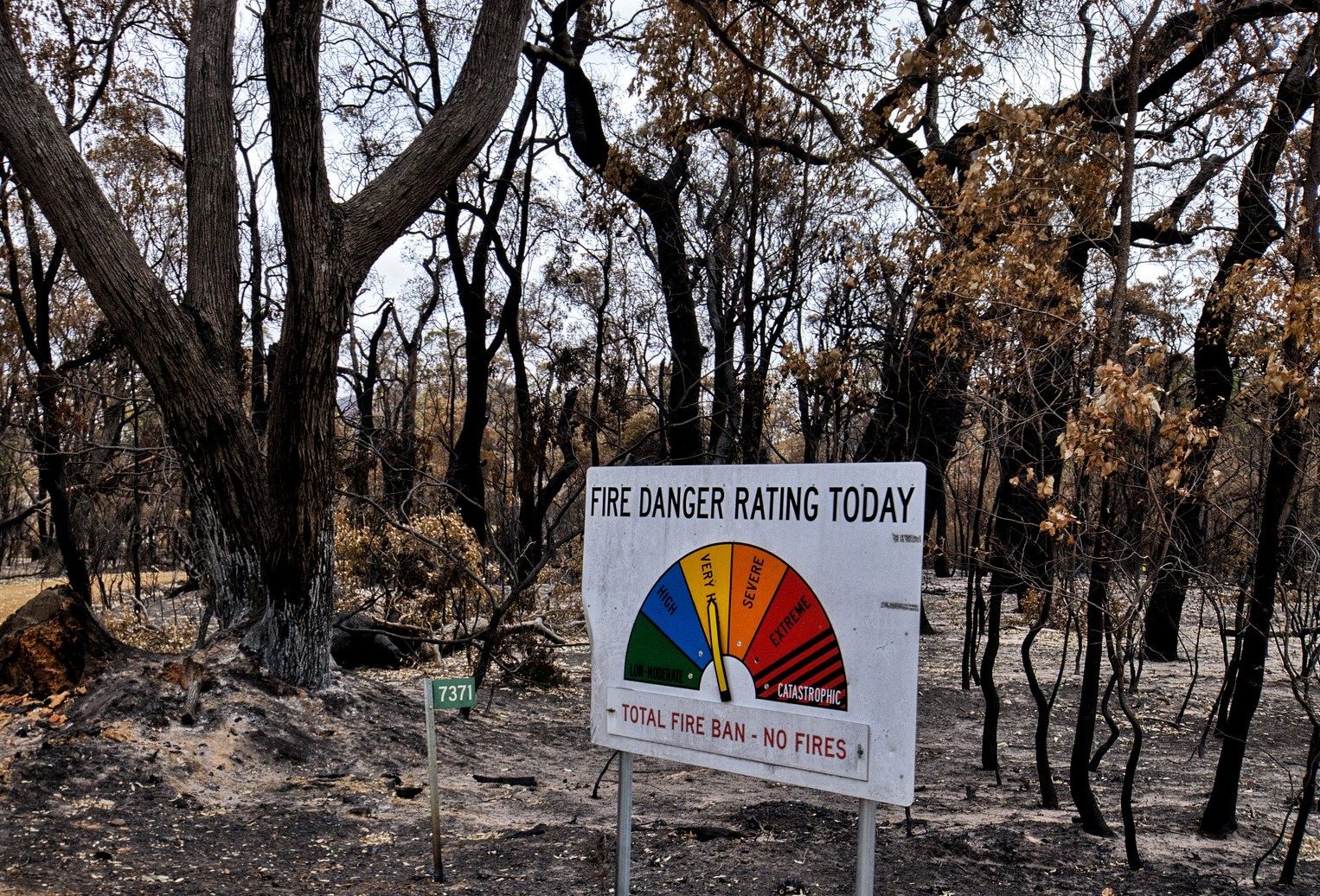 Fire Danger